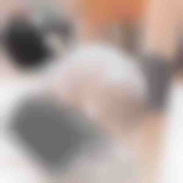 Spazzola per gatti (2 pezzi) | PURRCORNER