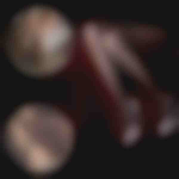 Calze scintillanti (3 pezzi) | PERLANKE