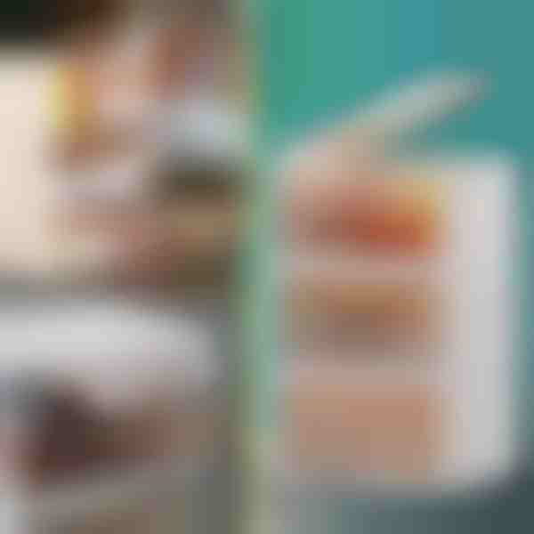 Scatola portaoggetti con coperchio - pronta in 2 minuti, senza attrezzi | ORGABOX