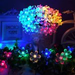 DAISYGLOW