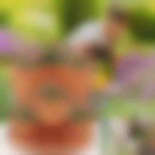 Vasi impilabili verticali per piante (Set da 3) | PLANTUP