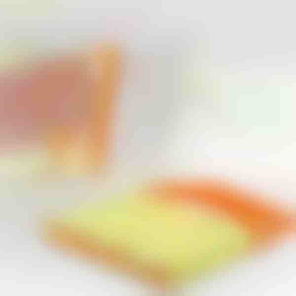 Pulitore per tende che dimezza il tempo | BLINDY