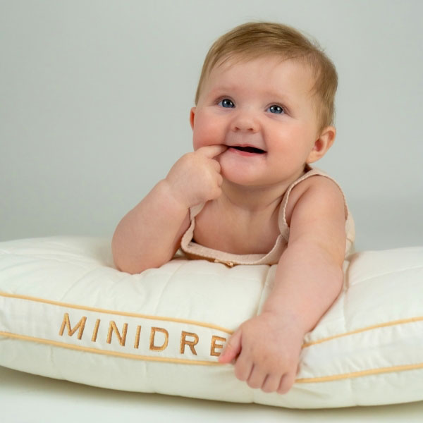 MINIDREAM