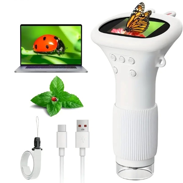 ZOOMORA18698__260625