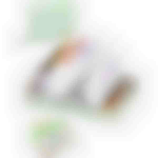 Portapillole settimanale impermeabile | DOSEBAG
